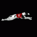 fairplay 24 login Greyhound