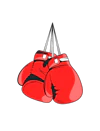 Fairplay24 boxing cloves