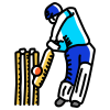 Fairplay24 website Icon cricket
