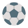 Fairplay24 football icon